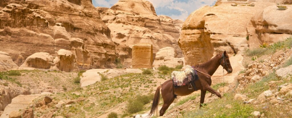 En bild på en häst i Petra