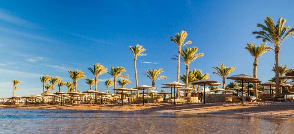 En bild på en strand med parasoll och palmer