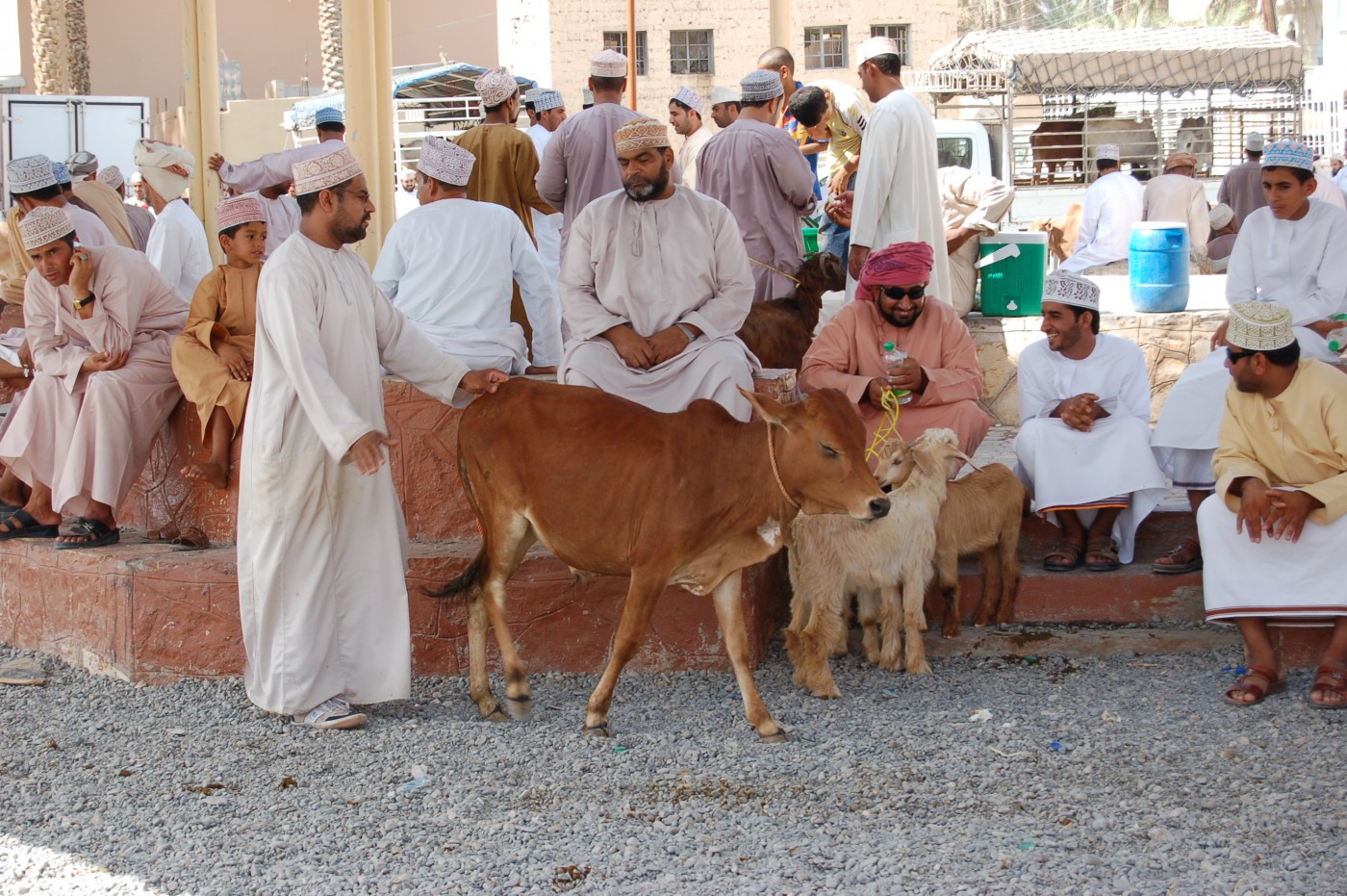 Nizwa marknad - Resor i Oman med orientenresor
